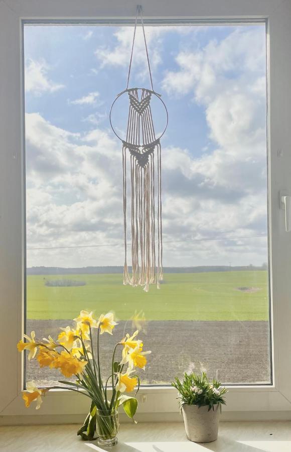 "Mts-Haus Zettemin" - 2 Familienfreundliche Ferienwohnungen In Mecklenburg エクステリア 写真