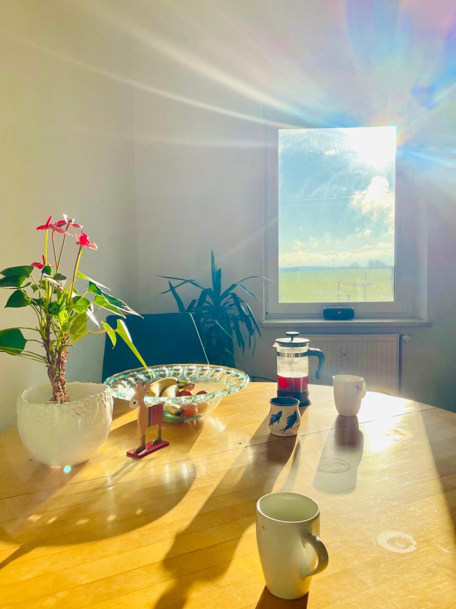 "Mts-Haus Zettemin" - 2 Familienfreundliche Ferienwohnungen In Mecklenburg エクステリア 写真